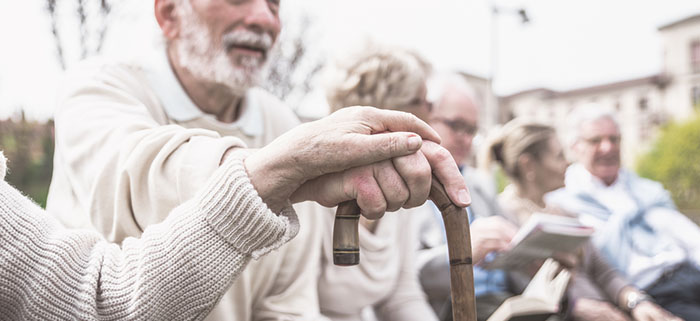 Read more about the article Celestial city profile